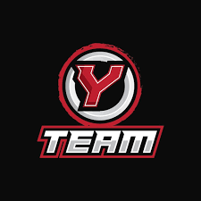 Team Y